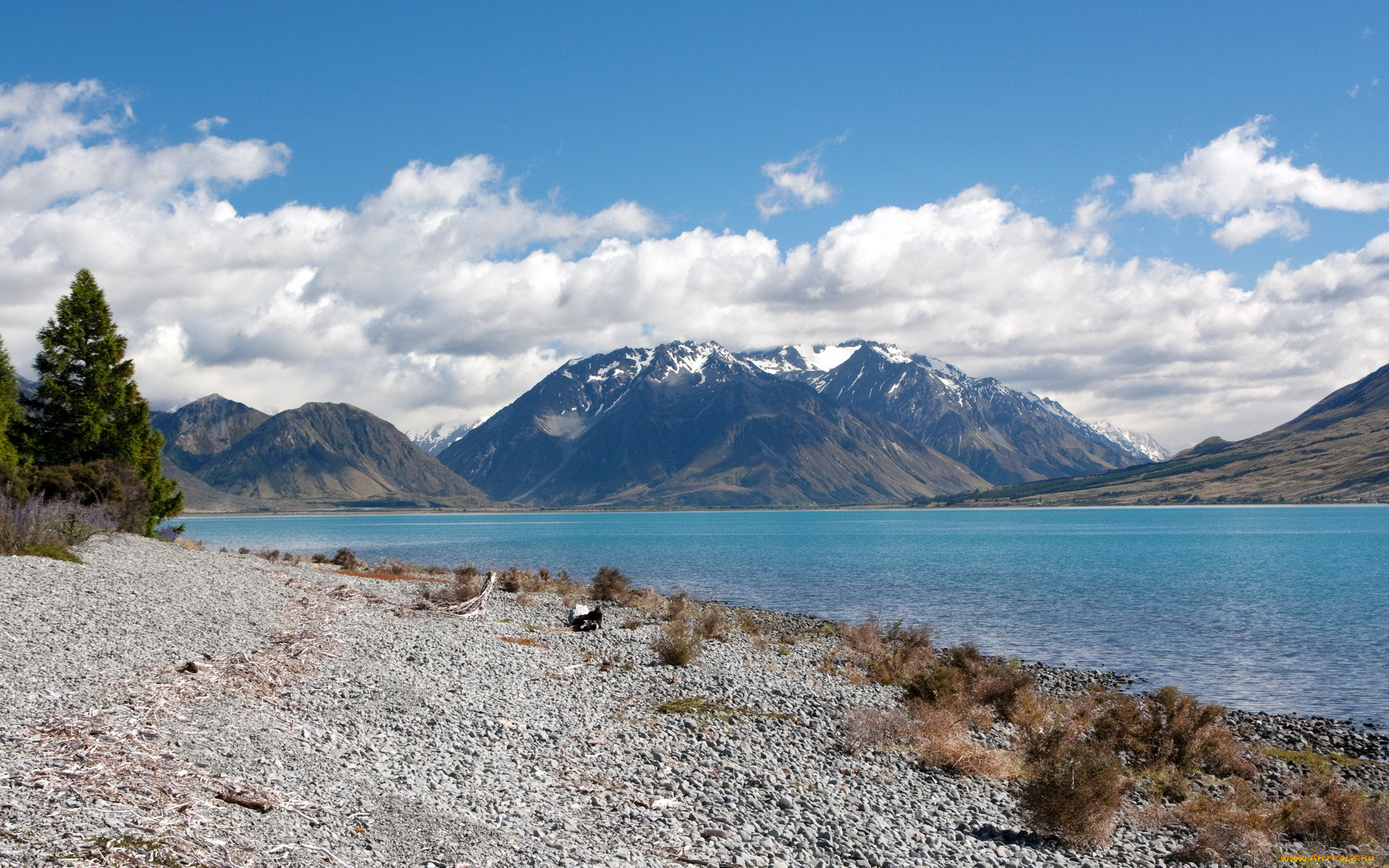 , , , new, zealand